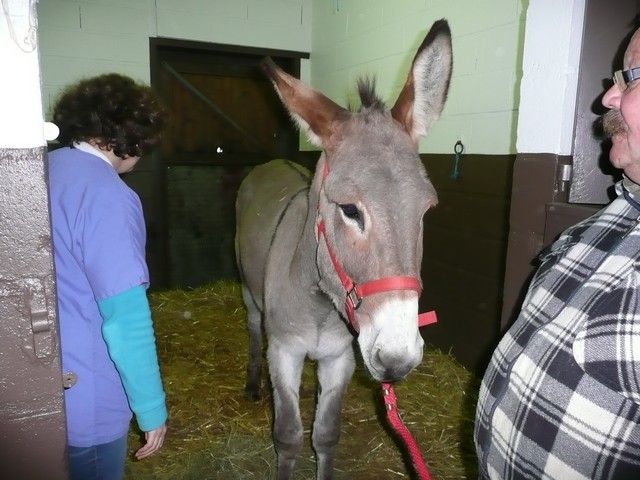 Balthazar et leonard Arrivee (40).jpg